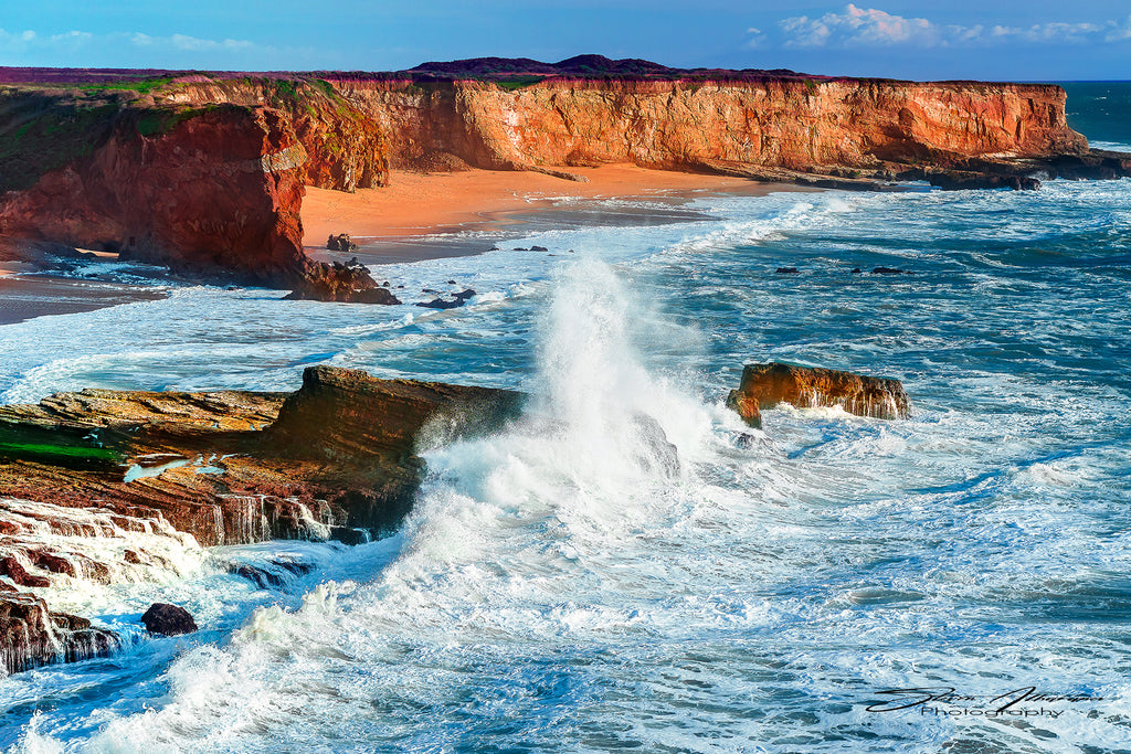 Coastal Davenport, California - 0329