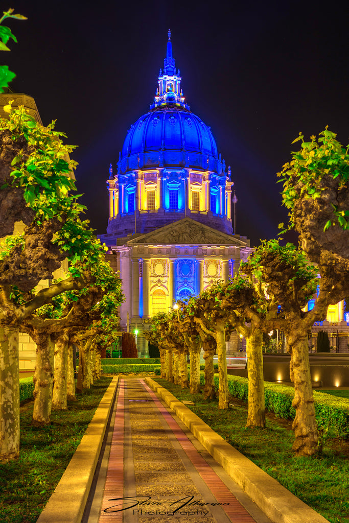 San Francisco City Hall - 1035V