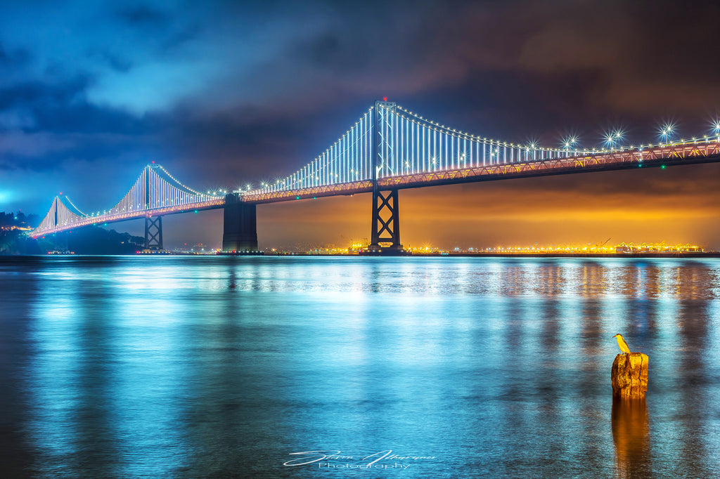 San Francisco Bay Bridge - 1016