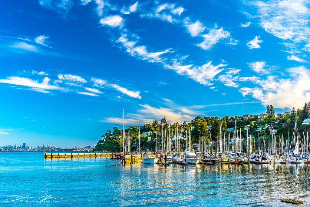 Marin Tiburon Sailboats and Yachts - 0544