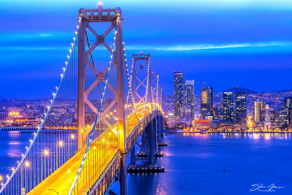 San Francisco Bay Bridge from Yerba Buena Island - 0852