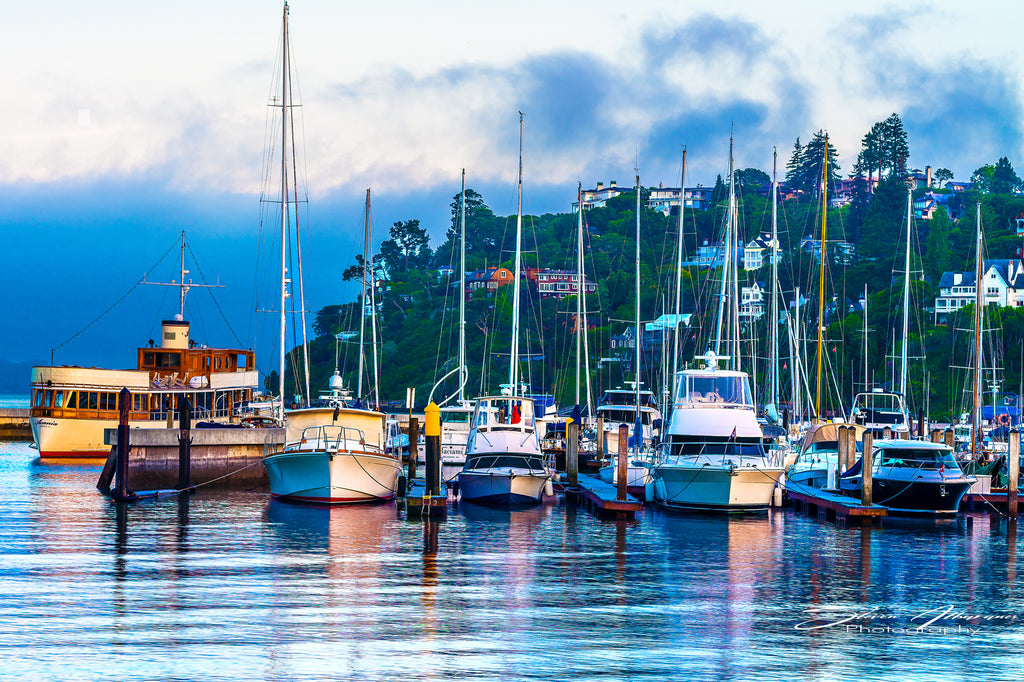 Marin Tiburon Sailboats and Yachts - 0800