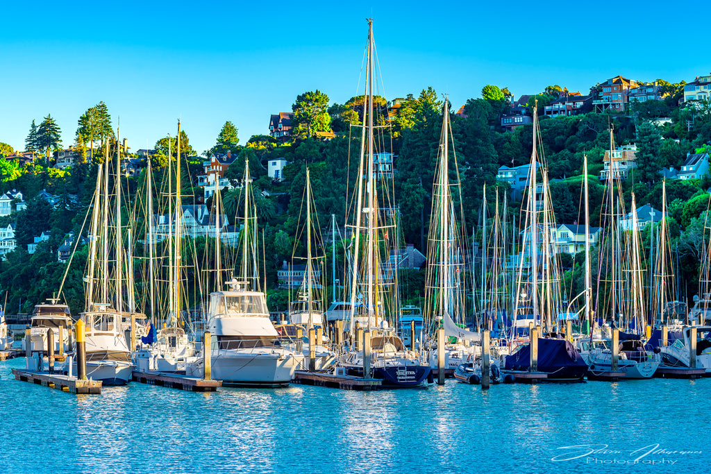 Marin Tiburon Sailboats and Yachts - 0856