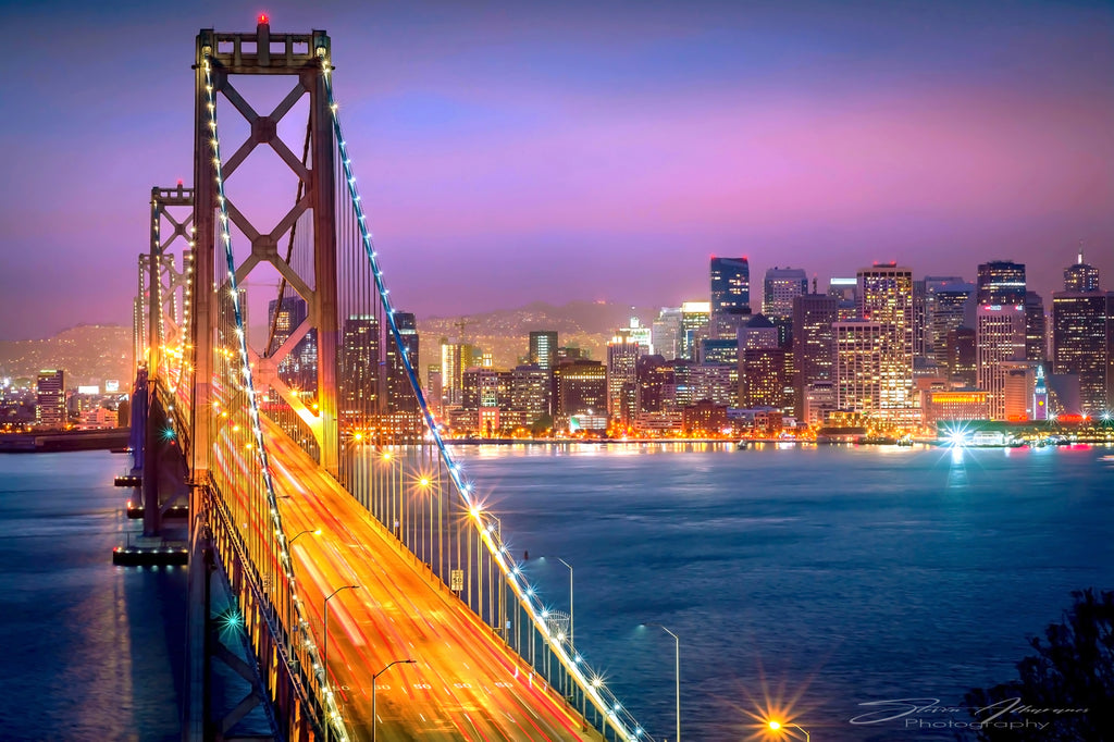 San Francisco Bay Bridge from Yerba Buena Island - 0821