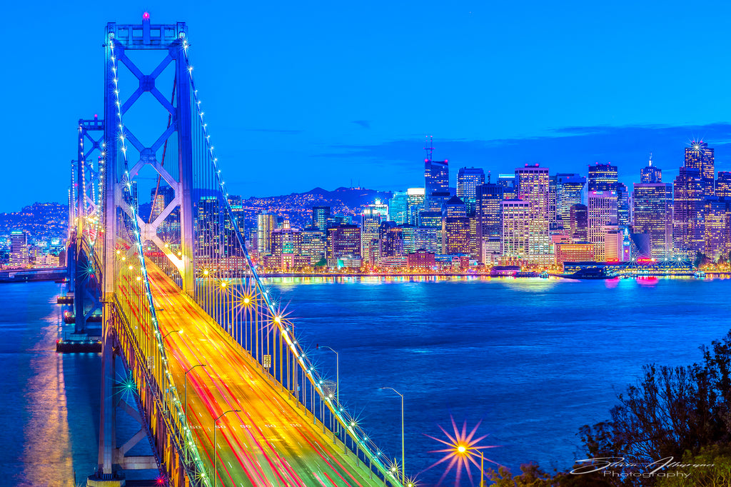 San Francisco Bay Bridge from Yerba Buena Island - 0855