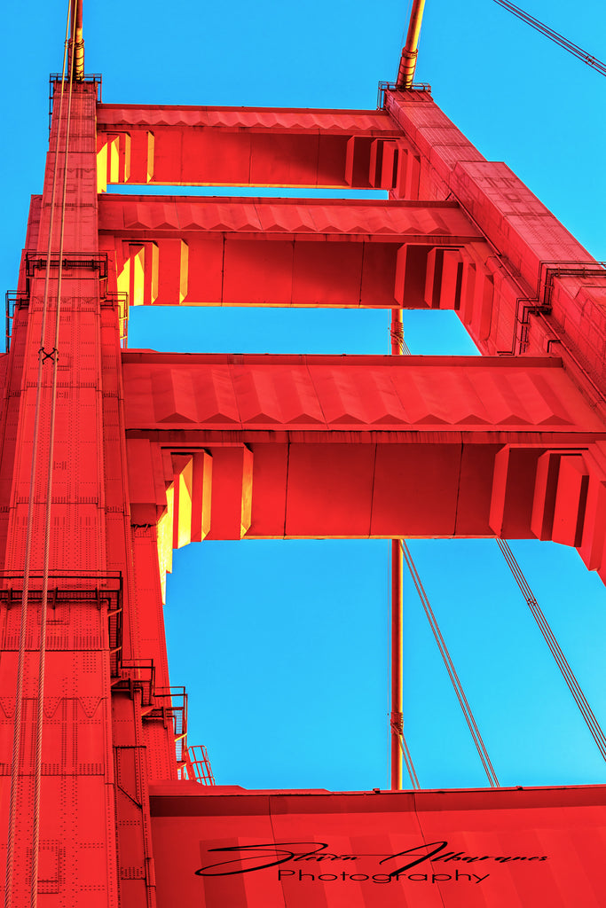 Drinking Glass - Golden Gate Bridge Red Rivets – PARK STORE