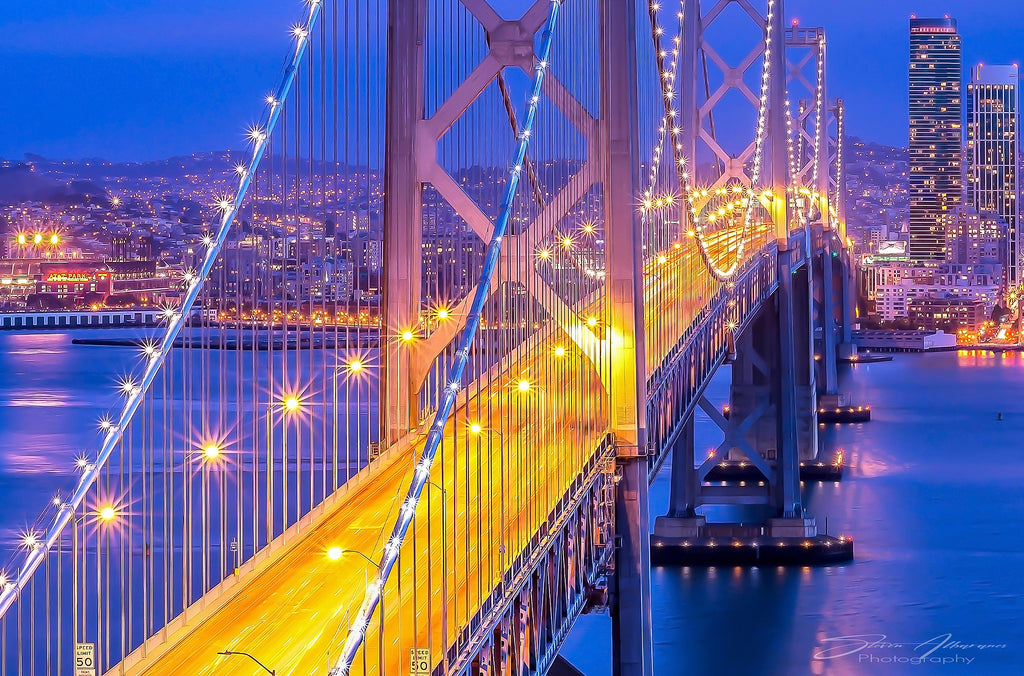 San Francisco Bay Bridge from Yerba Buena Island - 0852C